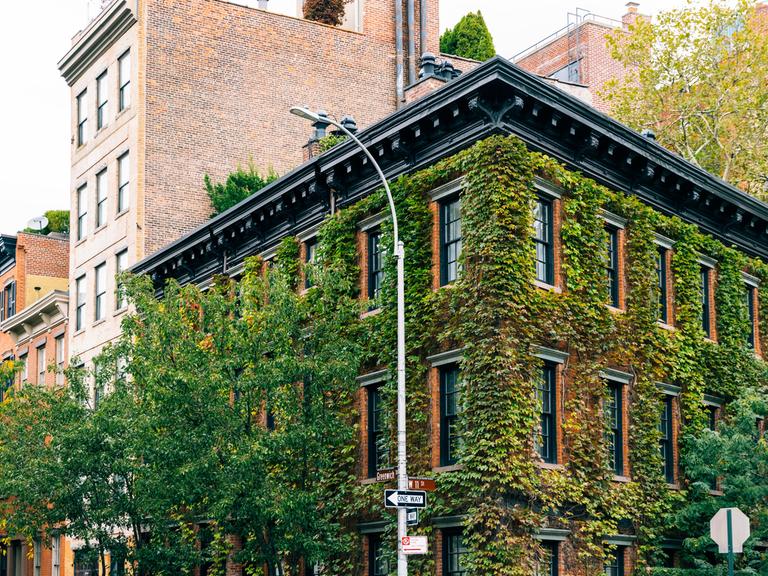 Ein mit Efeu bewachsenes Backsteingebäude in New York