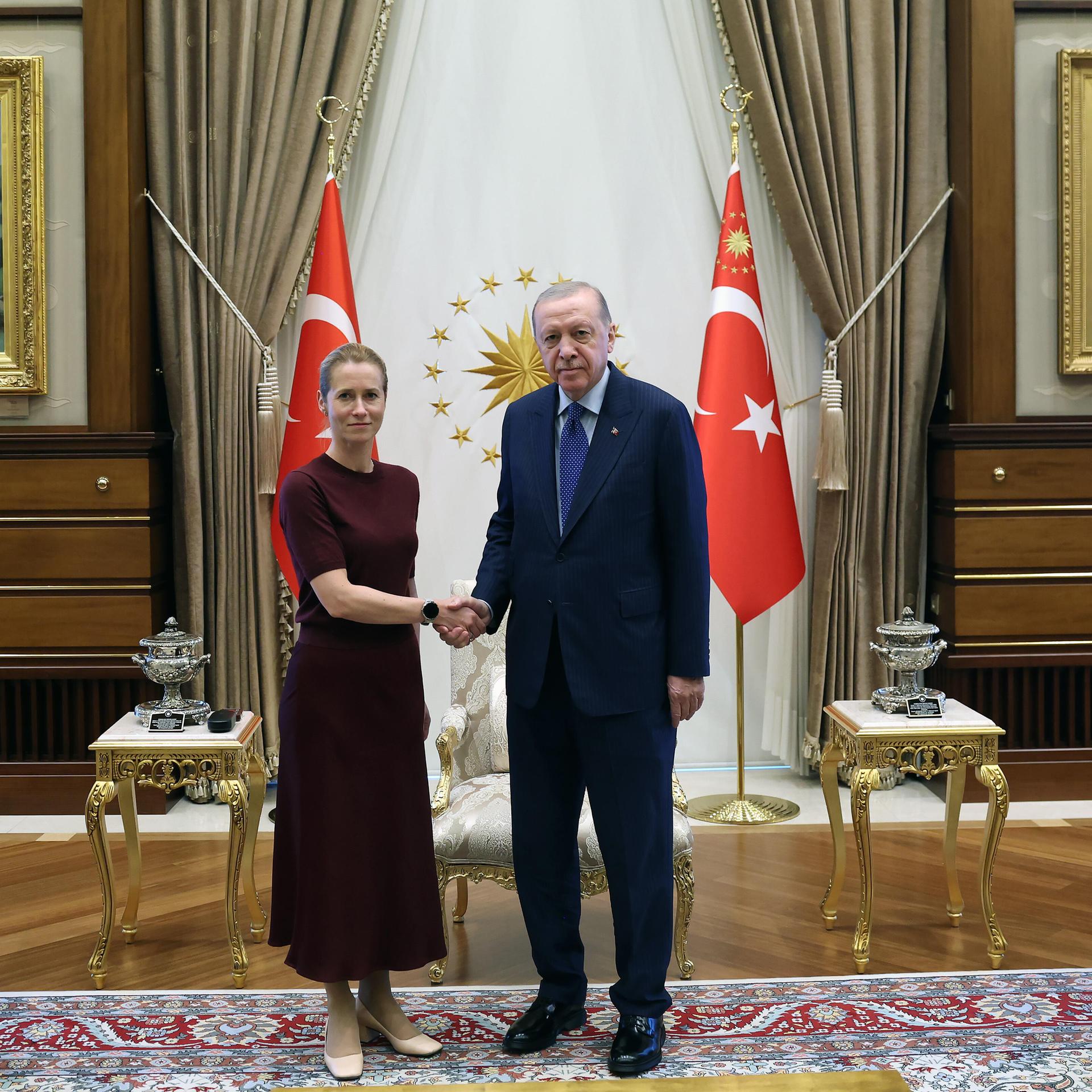 Die EU-Außenbeauftragte Kallas und der türkische Präsident schütteln sich die Hand.
