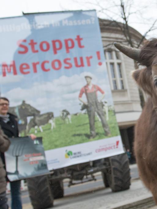 Aktivisten protestieren mit einer Kuh gegen das EU-Mercosur-Abkommen Aktivisten protestieren mit einer Kuh gegen das EU-Mercosur-Abkommen