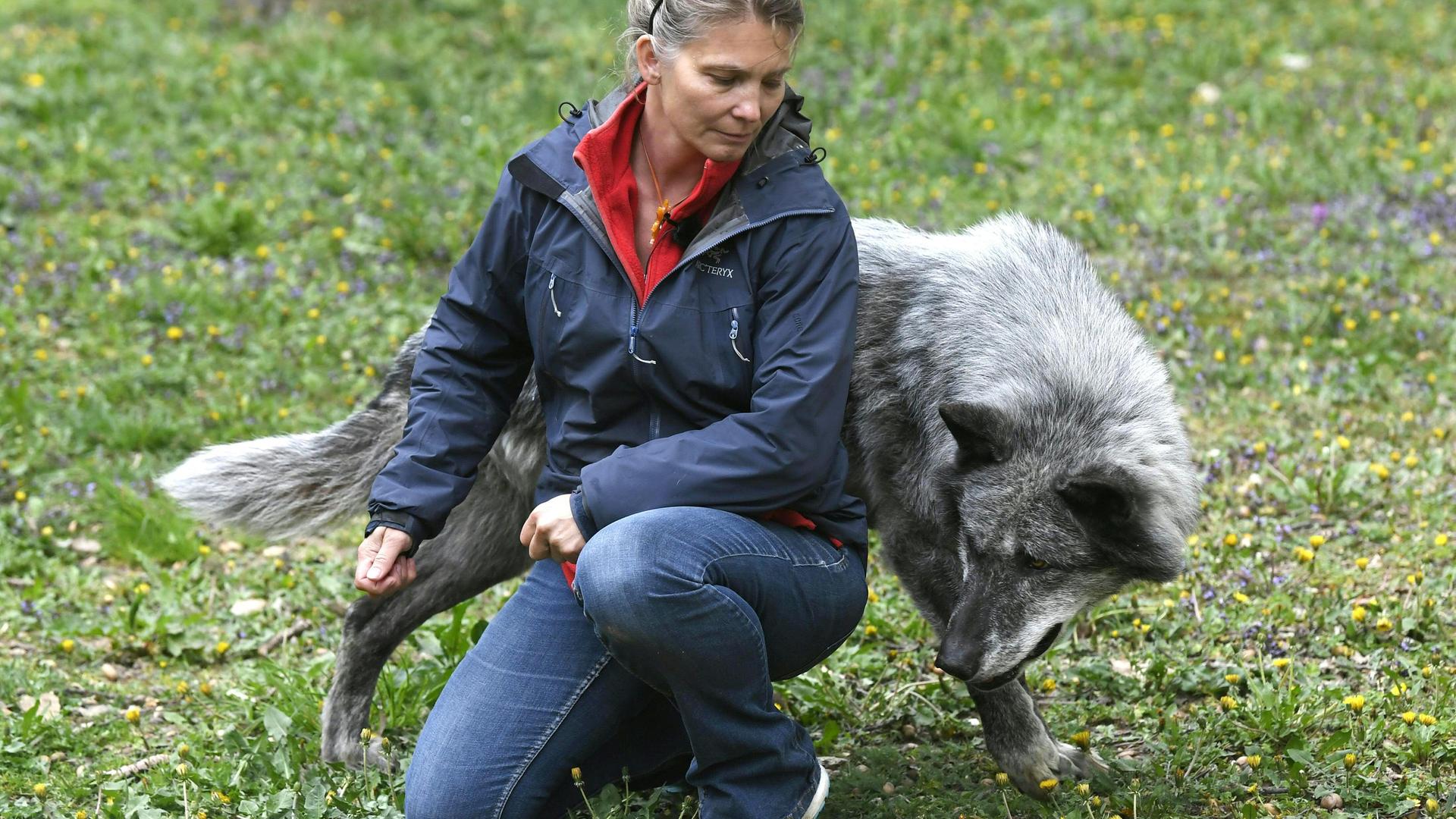 Friederike Range - Die mit dem Wolf heult