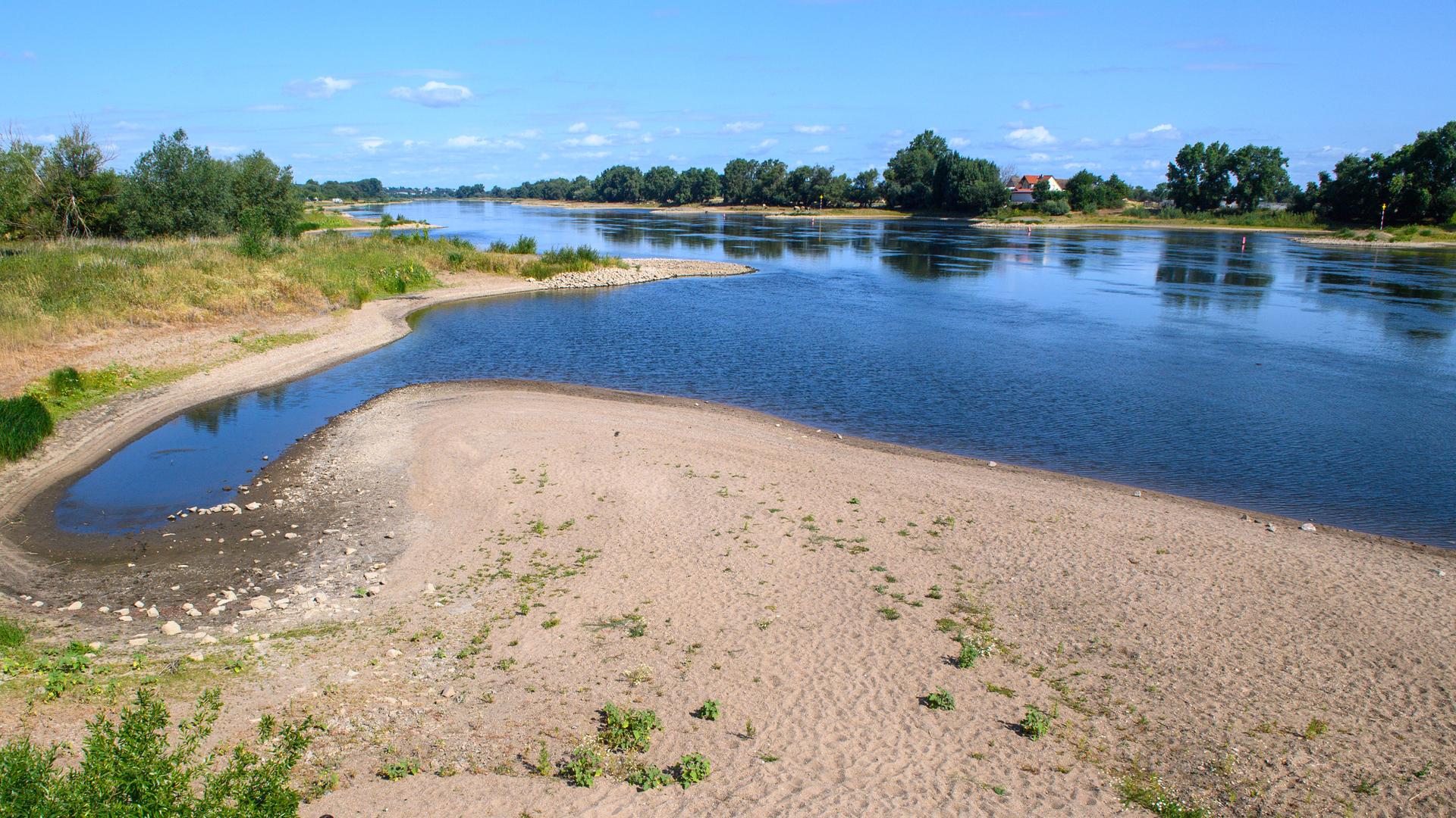Trockenheit an der Elbe