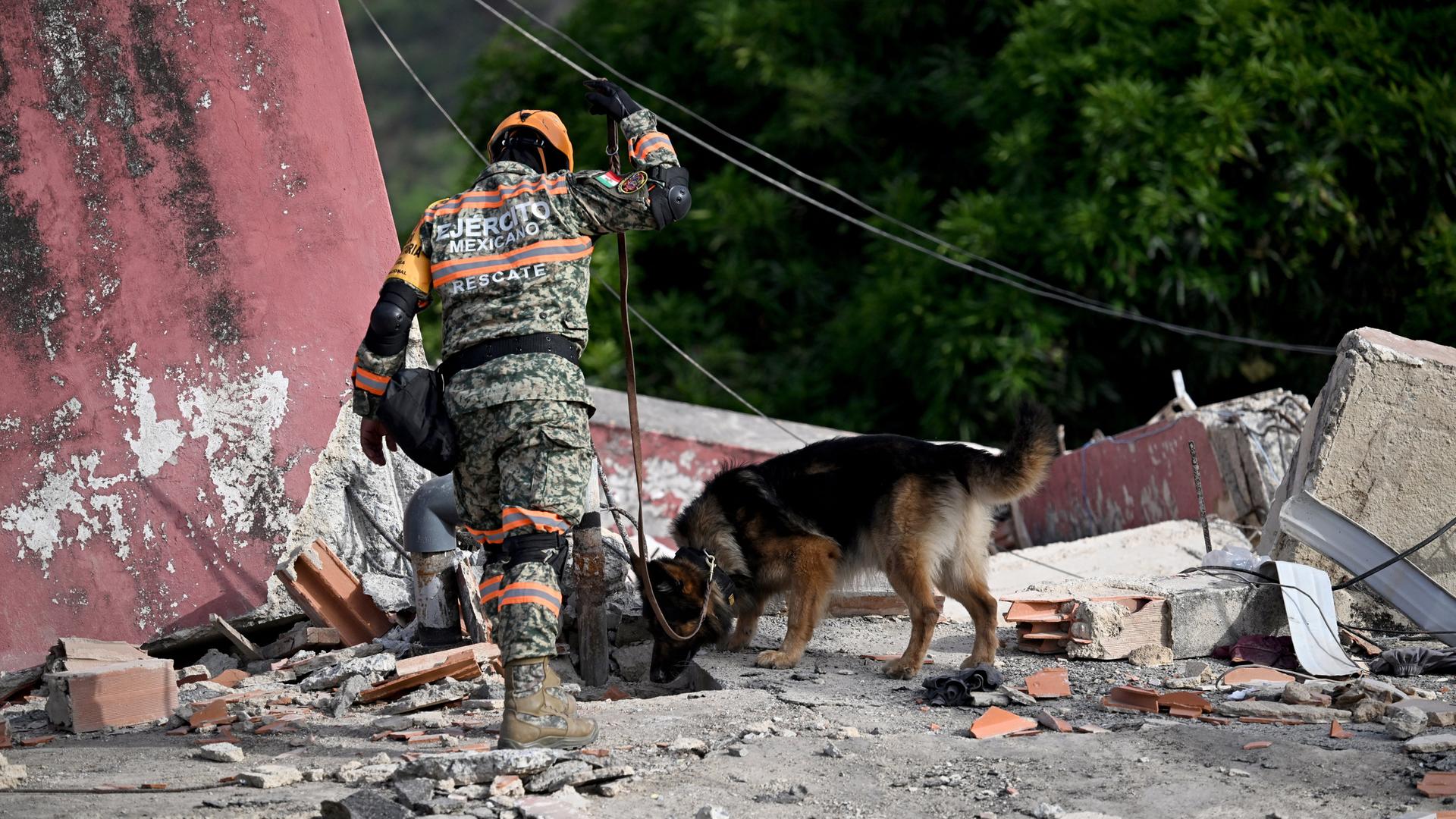 Ein mexikanischer Soldat führt seinen Suchhund über die Trümmer eines Hauses.