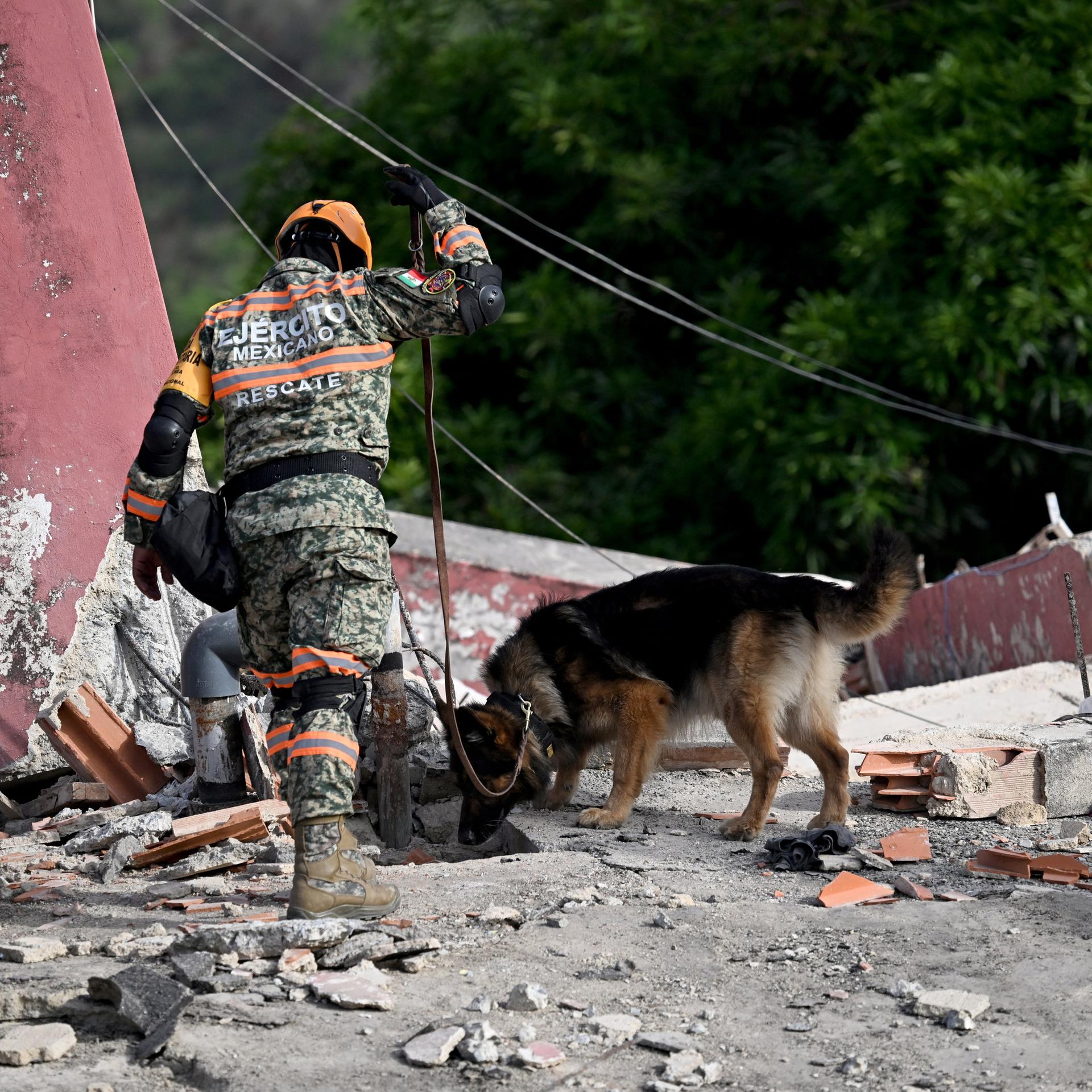 Ein mexikanischer Soldat führt seinen Suchhund über die Trümmer eines Hauses.