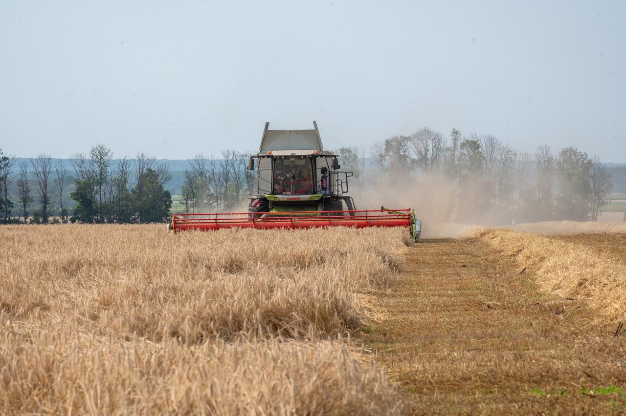 Die Getreideernte wird auf einem Feld durch eine große Landmaschine bewältigt.