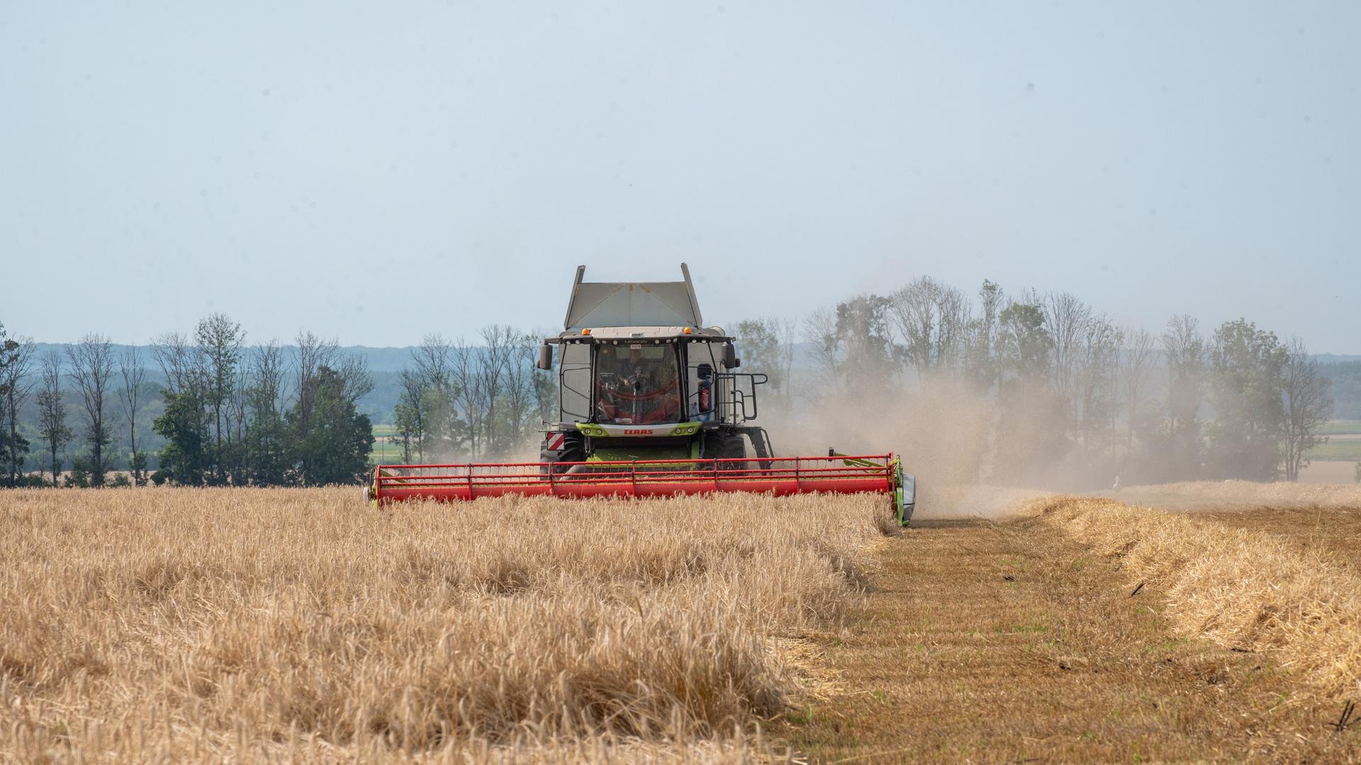 Wirtschaft - Slowakei und Ukraine einigen sich in Zwist um Importverbot für ukrainisches Getreide