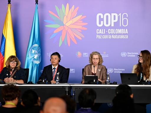 Der chinesische Minister für Ökologie und Umwelt (2vl) und die Direktorin des UN Umwelt Programms Inger Andersen (2vr) bei einer Pressekonferenz im Rahmen von Cop16 in Kolumbien.