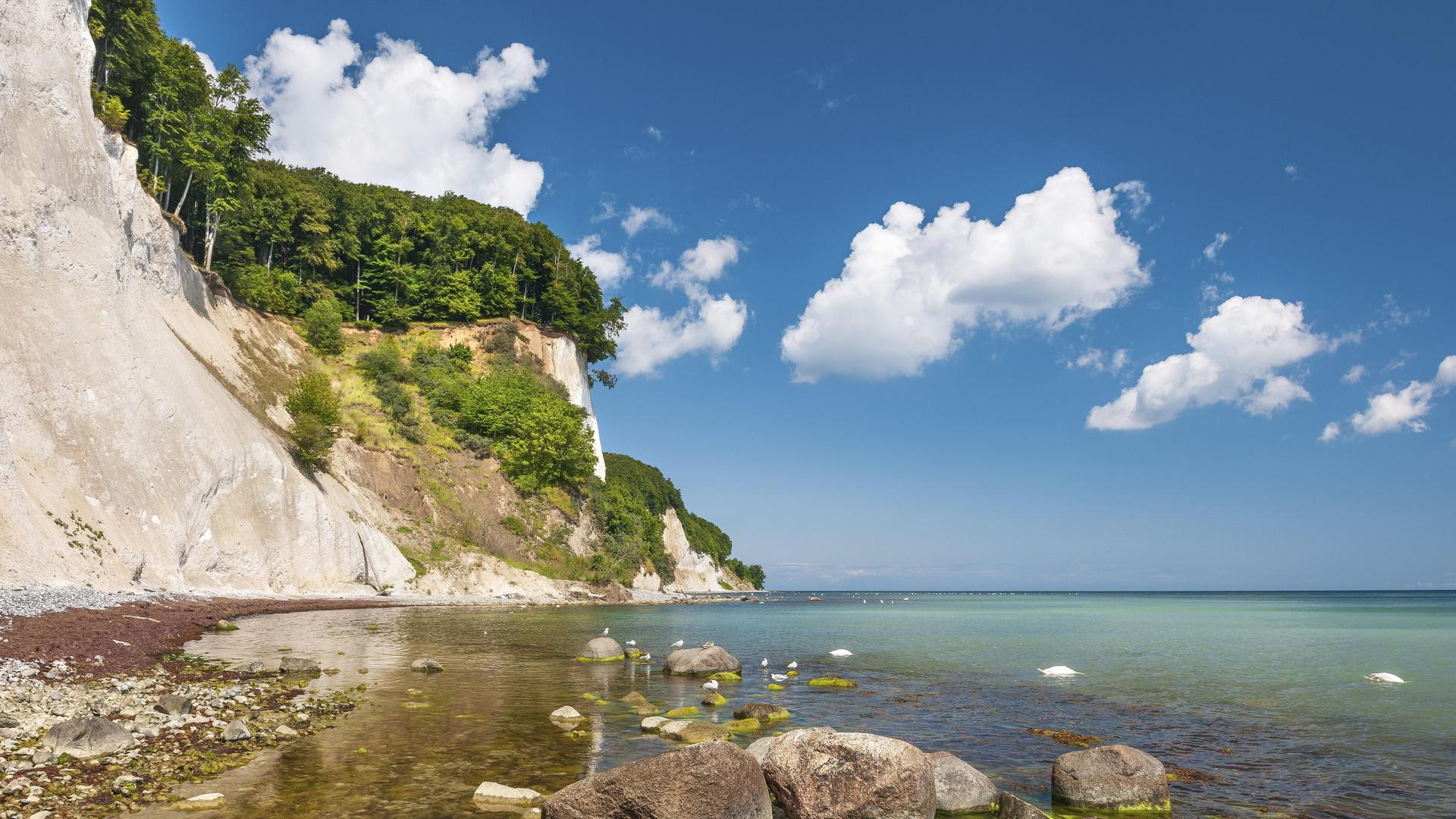 Grün-braun gefärbtes Wasser der Ostsee am Strand unterhalb der steilen Kreidefelsen der Insel Rügen