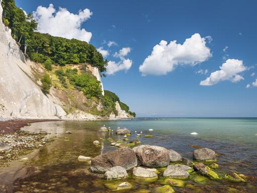 Grün-braun gefärbtes Wasser der Ostsee am Strand unterhalb der steilen Kreidefelsen der Insel Rügen
