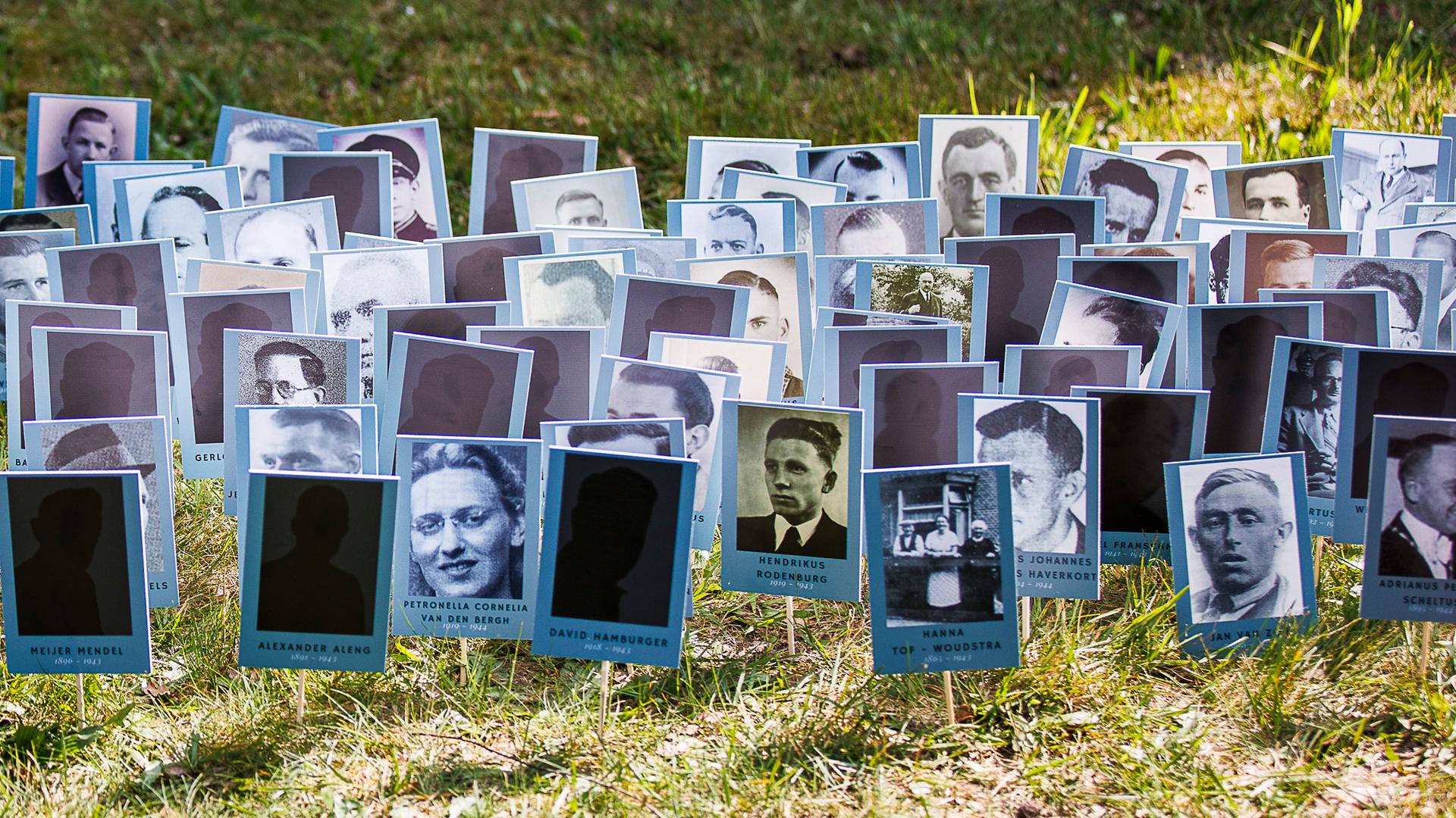 Das Bild zeigt zahlreiche Fotos ermordeter niederländischer Juden auf einem Gedenkfeld in den Niederlanden. Das Bild zeigt zahlreiche Fotos ermordeter niederländischer Juden auf einem Gedenkfeld in den Niederlanden.