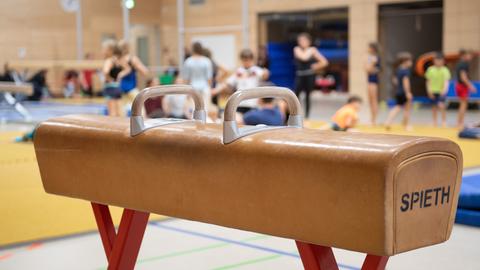 Ein Pauschenpferd steht während des Sportunterrichts in der Sporthalle einer Grundschule.