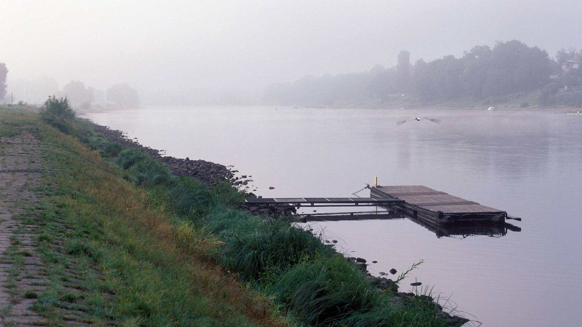 Morgennebel am Elbufer bei Niederpoyritz nahe, Dresden Morgennebel am Elbufer bei Niederpoyritz nahe, Dresden