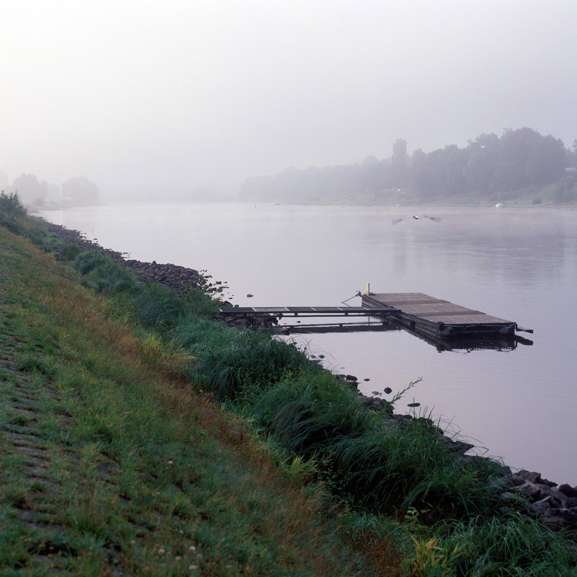Morgennebel am Elbufer bei Niederpoyritz nahe, Dresden