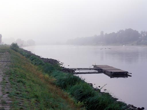 Morgennebel am Elbufer bei Niederpoyritz nahe, Dresden