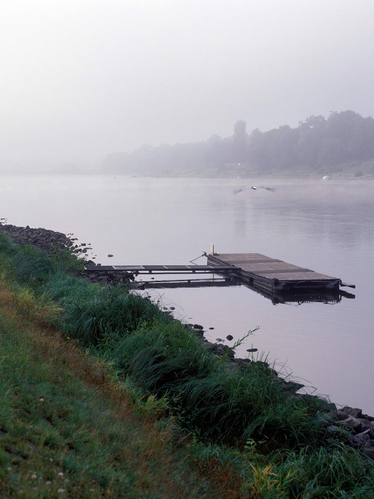 Morgennebel am Elbufer bei Niederpoyritz nahe, Dresden