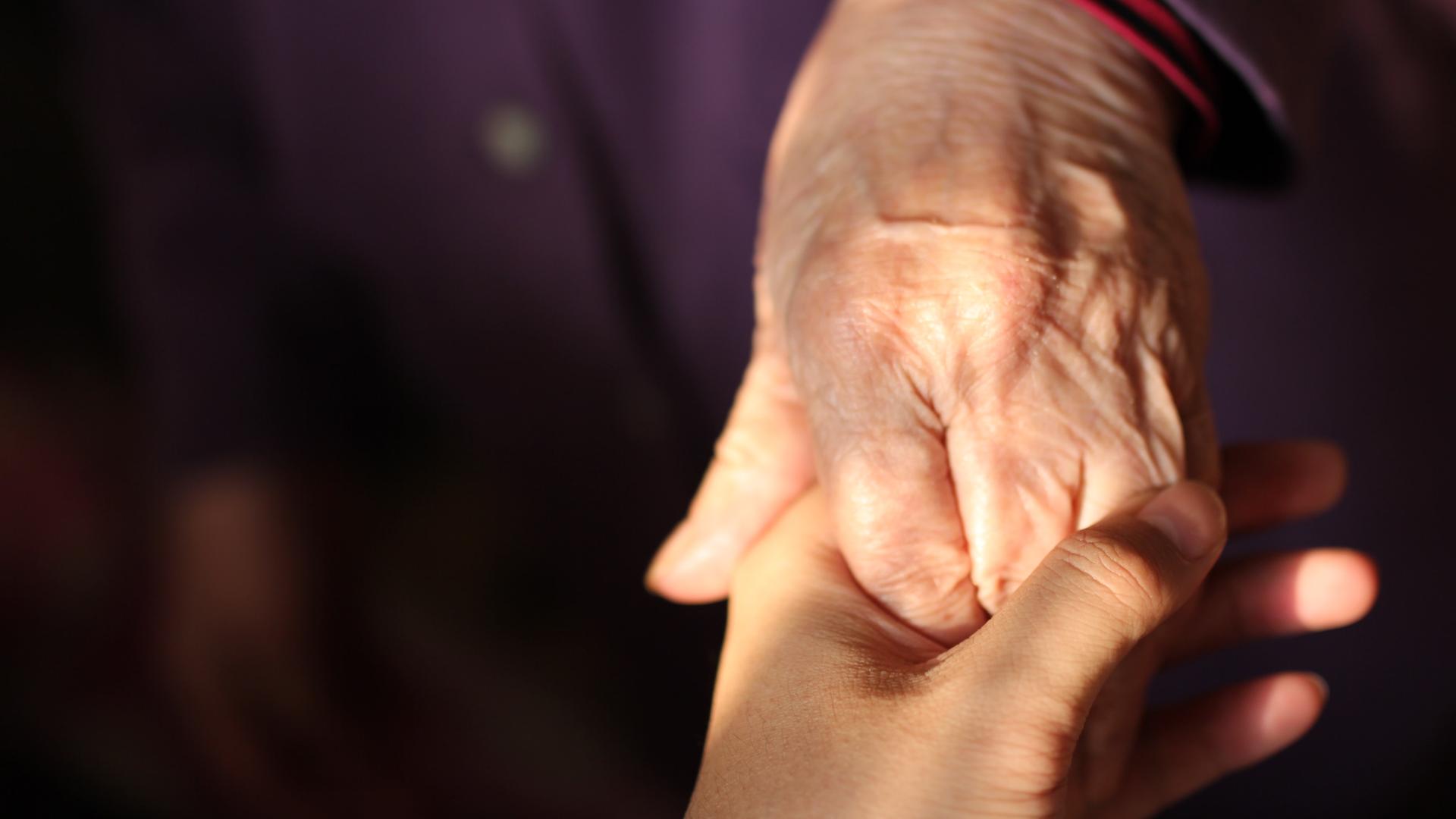 Eine junge Hand hält eine alte Hand Eine junge Hand hält eine alte Hand
