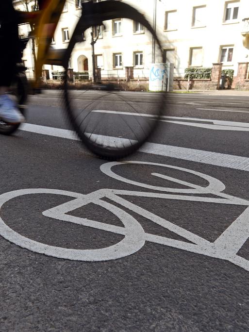 In der Karlsruher Innenstadt fährt ein Radfahrer auf einem Fahrradstreifen. 