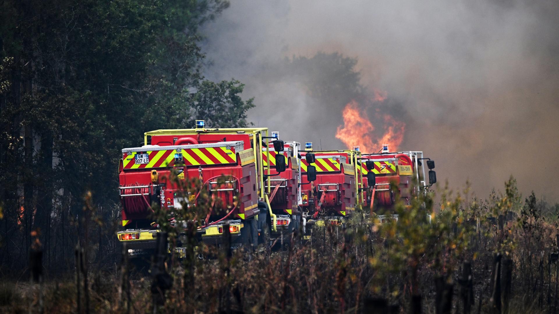 Das Foto zeigt Einsatzwagen der Feuerwehr. Im Hintergrund lodern Flammen eines Waldbrandes.