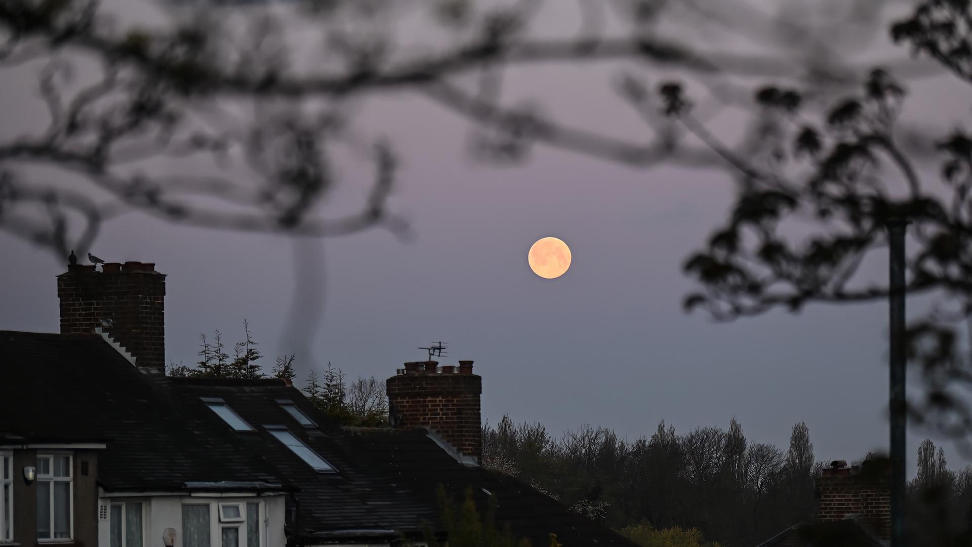 Der Supermond geht am 27. April 2021 über Südost-London, auf. Ein Supermond ist ein Vollmond oder ein Neumond, der fast mit dem Perigäum zusammenfällt - dem Punkt, an dem der Mond der Erde am nächsten kommt. 