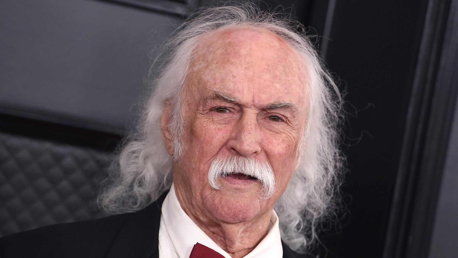 Der Sänger und Songwriter David Crosby Der Sänger und Songwriter David Crosby