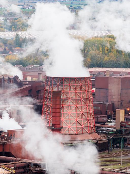 Luftaufnahme eines großen Stahlwerks: rostrot-braune Industrieanlagen, Hochöfen und ein markanter Kühlturm, aus mehreren Schloten steigt dichter weißer Dampf auf. Im Hintergrund liegen Wälder und flaches Land unter bedecktem Himmel.