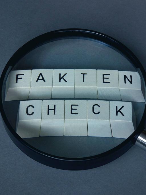 Faktencheck und Lupe Faktencheck und Lupe, 29.01.2020, Borkwalde, Brandenburg, Auf Buchstabenwürfel mit dem Wort Faktencheck liegt eine Lupe. *** Faktencheck und Lupe Faktencheck und Lupe, 29 01 2020, Borkwalde, Brandenburg, Germany, A magnifying glass is placed on letter cubes with the word Faktencheck