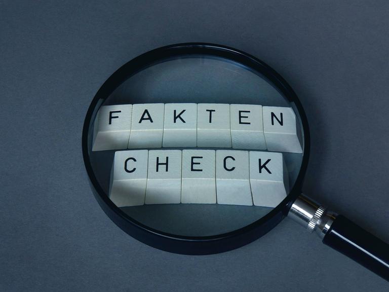 Faktencheck und Lupe Faktencheck und Lupe, 29.01.2020, Borkwalde, Brandenburg, Auf Buchstabenwürfel mit dem Wort Faktencheck liegt eine Lupe. *** Faktencheck und Lupe Faktencheck und Lupe, 29 01 2020, Borkwalde, Brandenburg, Germany, A magnifying glass is placed on letter cubes with the word Faktencheck