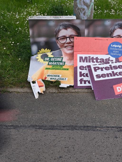 Abgerissene Wahlplakate der Grünen und Linken liegen am Boden vor einer Wiese neben einem Laternenmast im Leipziger Stadtteil Lößnig