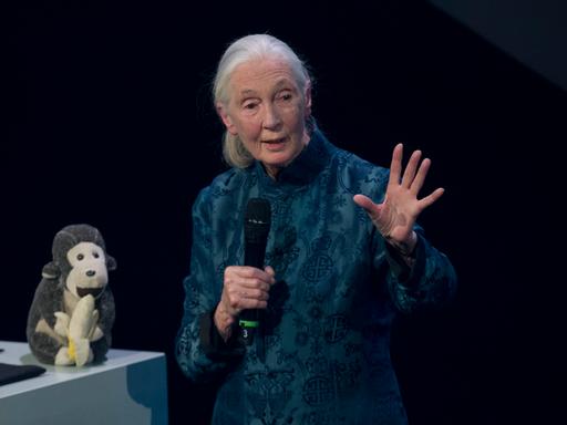 Jane Goodall, Primatenforscherin, am 08.12.2017 auf einer Bühne in Düsseldorf. Auf dem Rednerpult steht ein Stoff-Affe.
