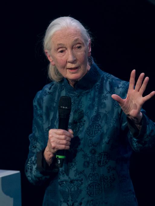 Jane Goodall, Primatenforscherin, am 08.12.2017 auf einer Bühne in Düsseldorf. Auf dem Rednerpult steht ein Stoff-Affe.