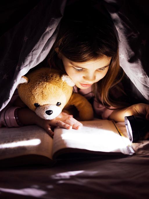 Kind, das ein Buch unter einer Decke mit einem Teddybär liest, beleuchtet von Taschenlampe. Kind, das ein Buch unter einer Decke mit einem Teddybär liest, beleuchtet von Taschenlampe.