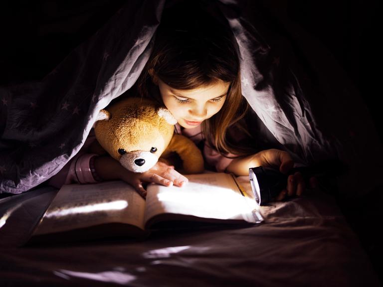 Kind, das ein Buch unter einer Decke mit einem Teddybär liest, beleuchtet von Taschenlampe. Kind, das ein Buch unter einer Decke mit einem Teddybär liest, beleuchtet von Taschenlampe.