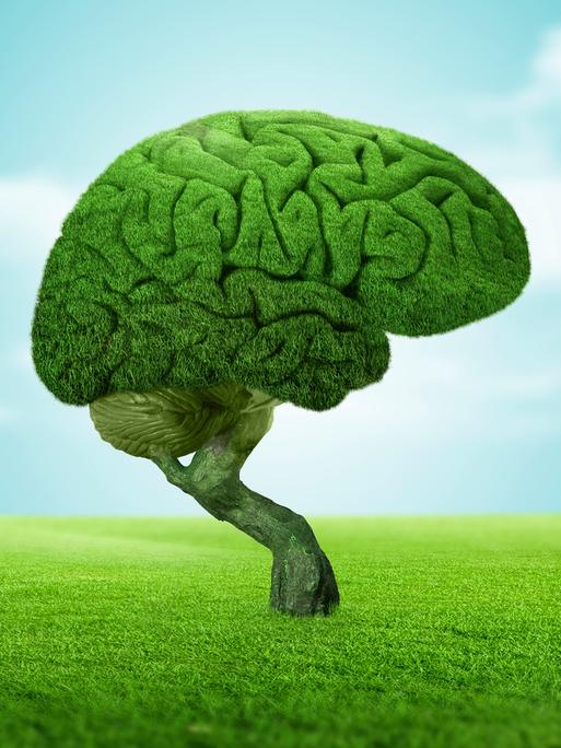 Brain covered with grass in the shape of a bonsai on grass field against sky.Digital composite