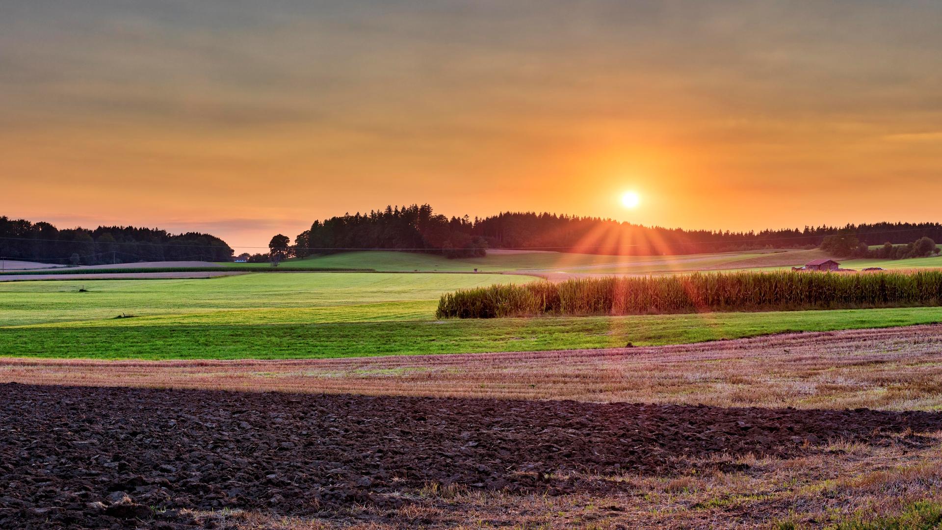 Über Feldern und Wiesen geht die Sonne unter Über Feldern und Wiesen geht die Sonne unter