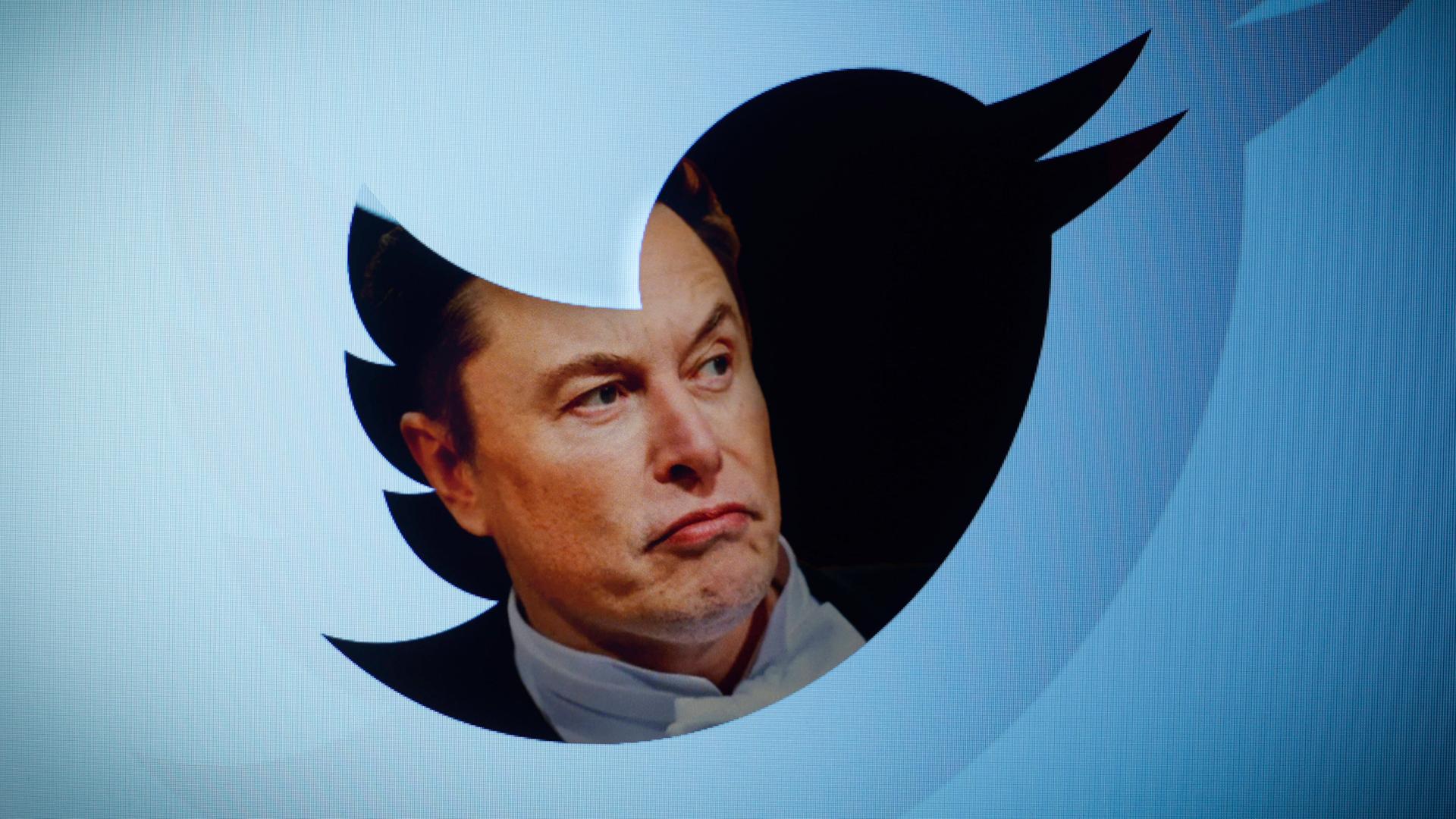 Ein Porträt von Elon Musk mit heruntergezogenen Mundwinkeln, das in das vogelförmige Firmensymbol von Twitter gespiegelt ist.
