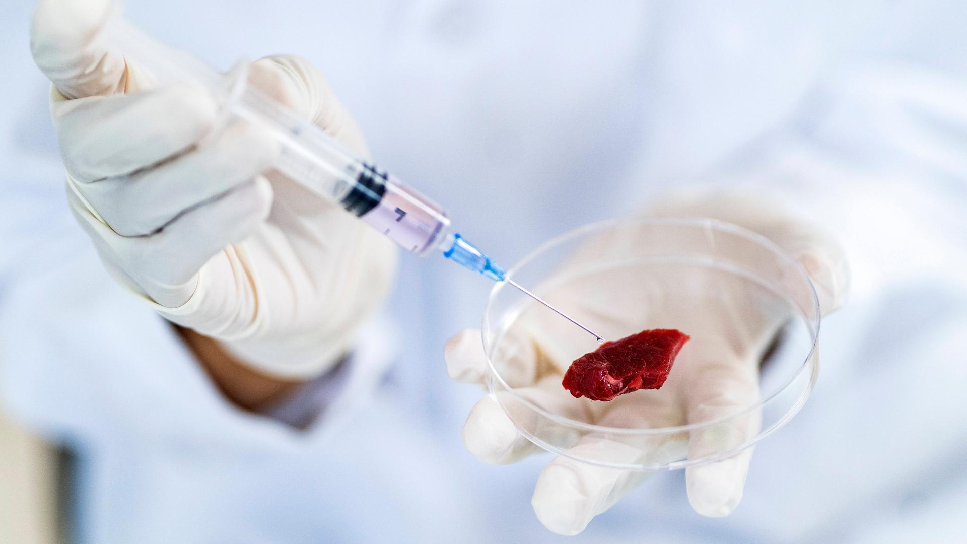 Symbolfoto: Ein Forscher injiziert mit einer Spritze künstliches Fleisch in einer Petrischale.