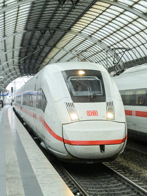 Ein ICE fährt in einen Bahnhof ein.