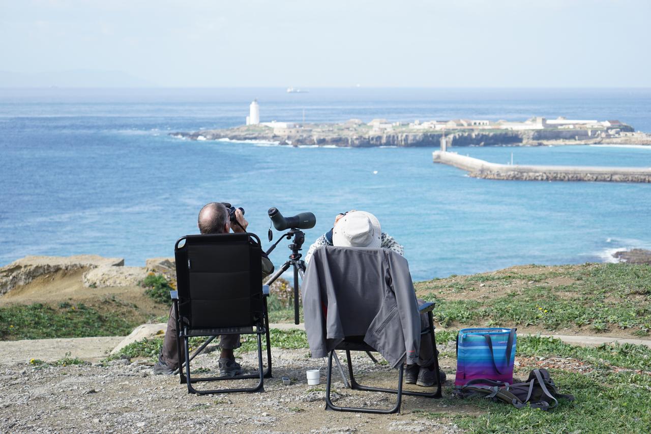 Zwei Birdwatcher sitzen auf ihren Klappstühlen mit Fernglas an der Meerenge bei Gibralter und beobachten Vögel.