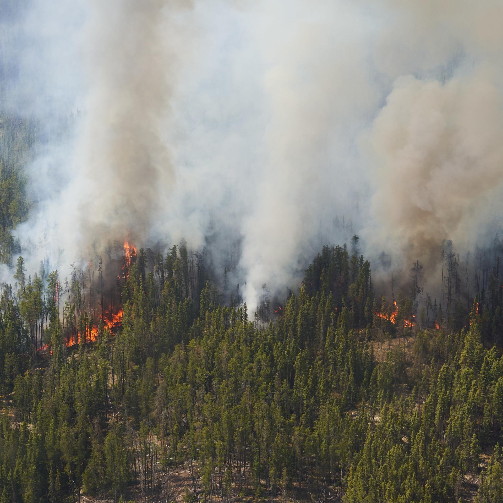 Satelliten mit Feueraugen
