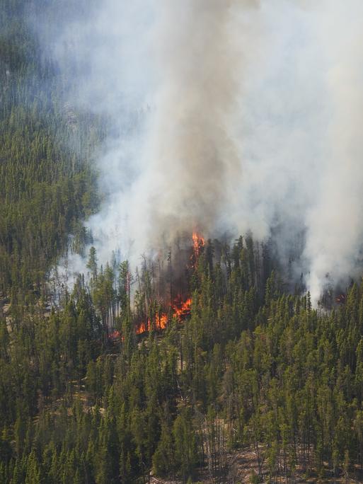 Luftaufnahme eines kanadischen Waldes, aus dem Rauch aufsteigt und durch dessen Wipfel Flammen am Boden zu sehen sind.