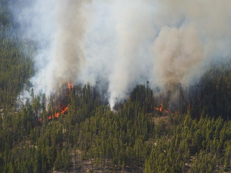 Luftaufnahme eines kanadischen Waldes, aus dem Rauch aufsteigt und durch dessen Wipfel Flammen am Boden zu sehen sind.