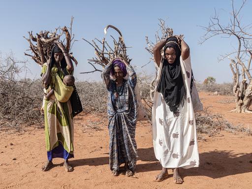 Drei Frauen in Somalia tragen Holz in Bündeln in einer vertrockneten Landschaft, eine hat ein Baby vor dem Bauch gebunden. Januar 2023 in Doolow, Somalia.
