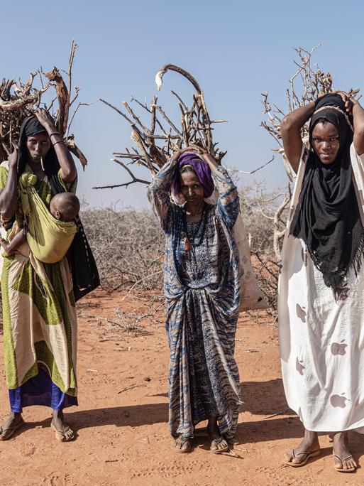 Drei Frauen in Somalia tragen Holz in Bündeln in einer vertrockneten Landschaft, eine hat ein Baby vor dem Bauch gebunden. Januar 2023 in Doolow, Somalia.