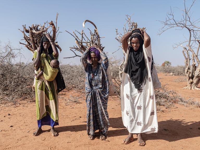 Drei Frauen in Somalia tragen Holz in Bündeln in einer vertrockneten Landschaft, eine hat ein Baby vor dem Bauch gebunden. Januar 2023 in Doolow, Somalia.