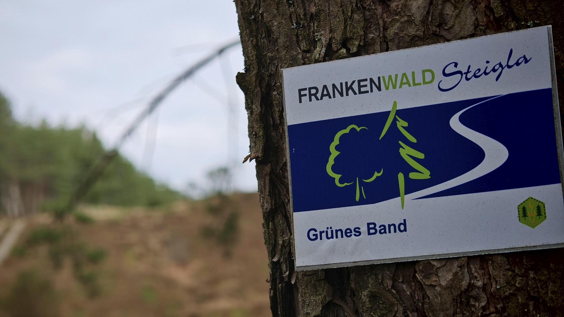 Ein Schild im Wald mit der Aufschrift "FRANKENWALD Steigla Grünes Band" ist an einem Baum befestigt. Ein Schild im Wald mit der Aufschrift "FRANKENWALD Steigla Grünes Band" ist an einem Baum befestigt.