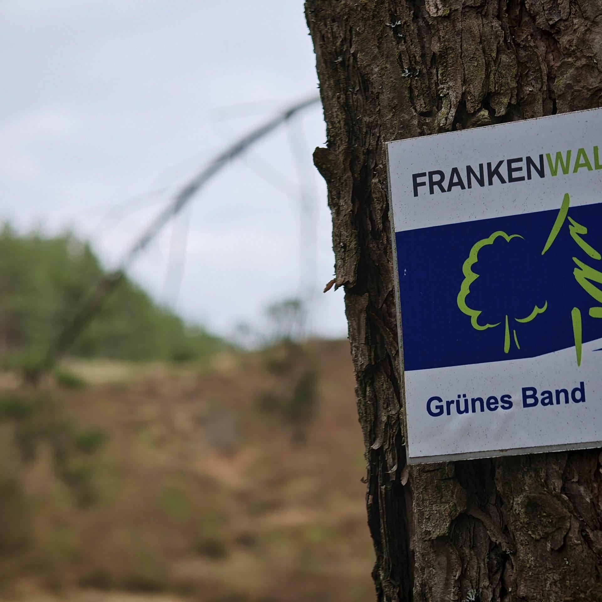Ein Schild im Wald mit der Aufschrift "FRANKENWALD Steigla Grünes Band" ist an einem Baum befestigt.