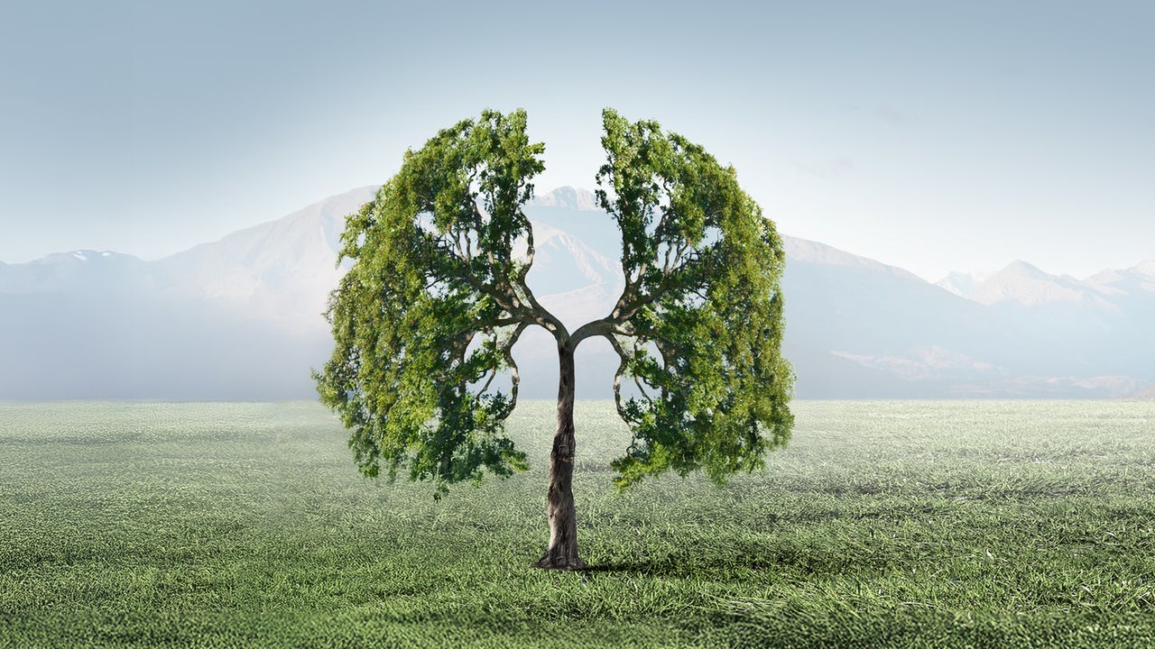 Das Cover zur Sendereihe "Tag für Tag" zeigt einen gezeichneten Baum, dessen Krone sich in zwei Hälften aufspaltet. Die Hälften erinnern an zwei Lungenflügel oder auch die Flügel eines Engels.
