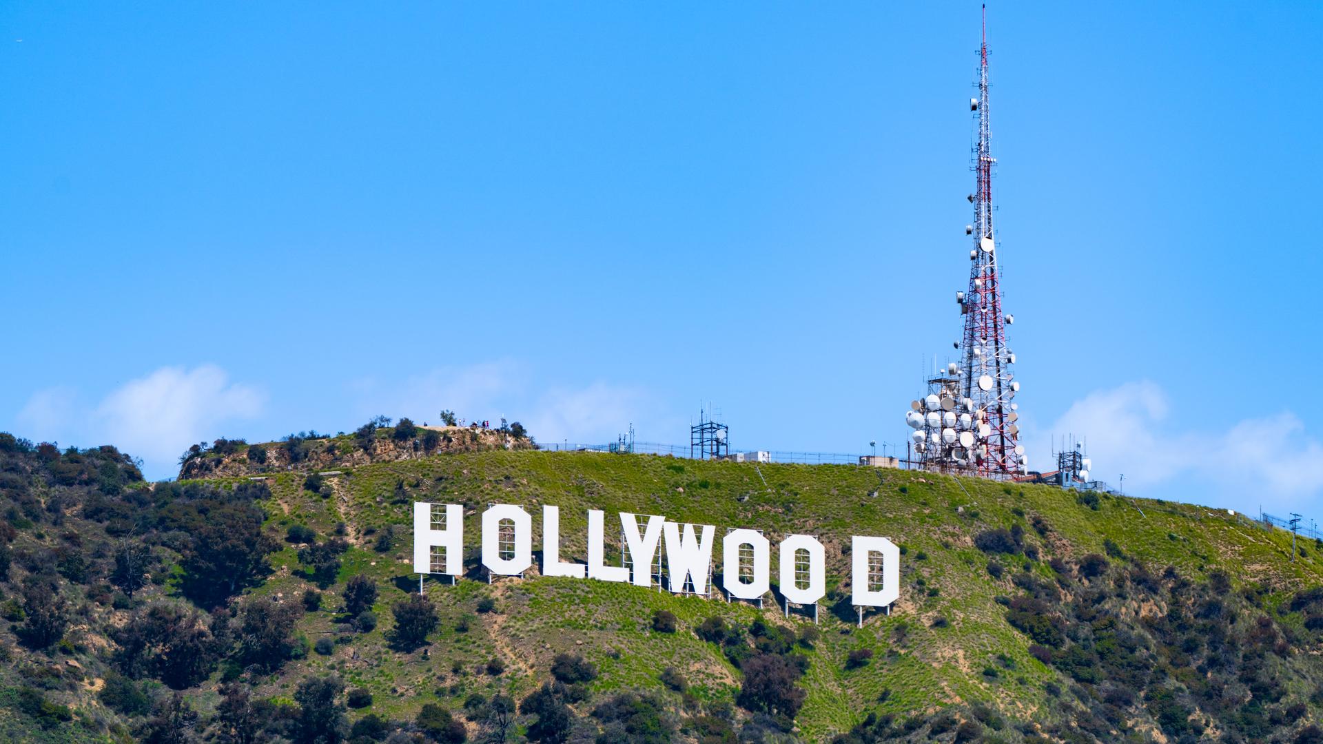 Der weiße Schriftzug Hollywood steht am grünen Hang