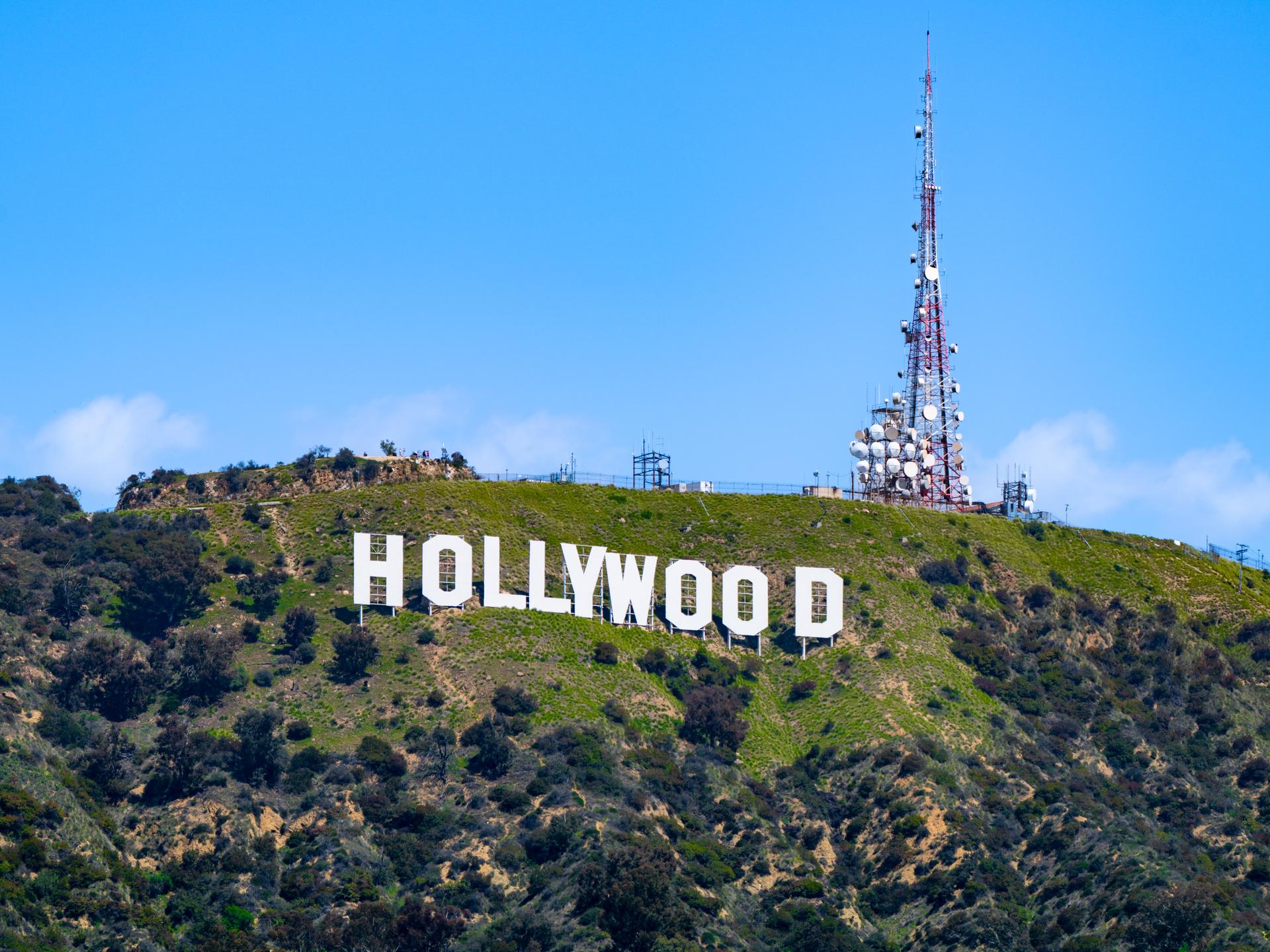 Der weiße Schriftzug Hollywood steht am grünen Hang