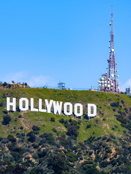 Der weiße Schriftzug Hollywood steht am grünen Hang
