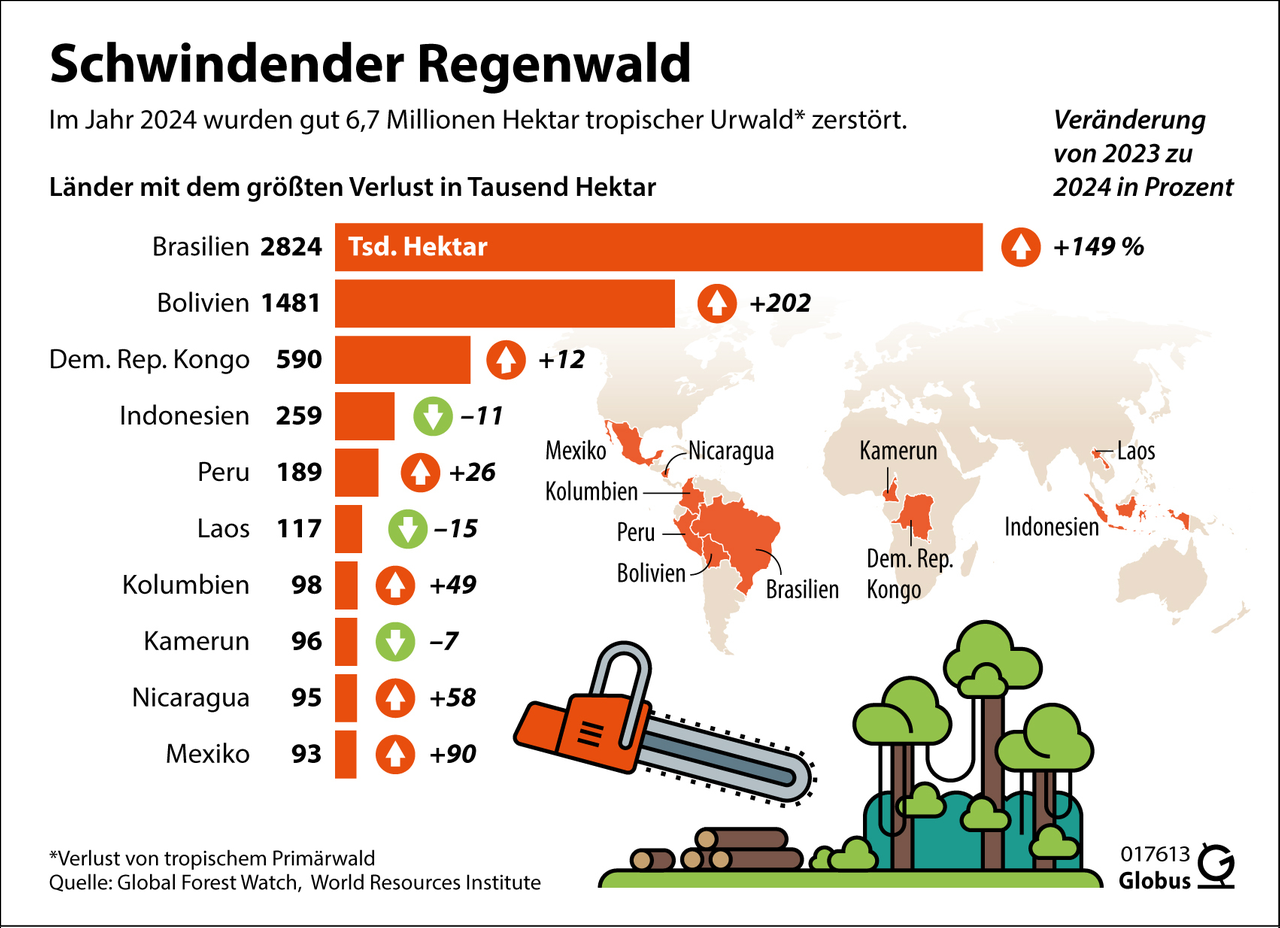 18 Fußballfelder pro Minute - so viel tropischer Urwald wurde im Jahr 2024 zerstört. Insgesamt gingen 6,7 Millionen Hektar verloren - fast doppelt so viel wie im Jahr zuvor. Das berichtet das World Resources Institut (WRI). 18 Fußballfelder pro Minute - so viel tropischer Urwald wurde im Jahr 2024 zerstört. Insgesamt gingen 6,7 Millionen Hektar verloren - fast doppelt so viel wie im Jahr zuvor. Das berichtet das World Resources Institut (WRI).